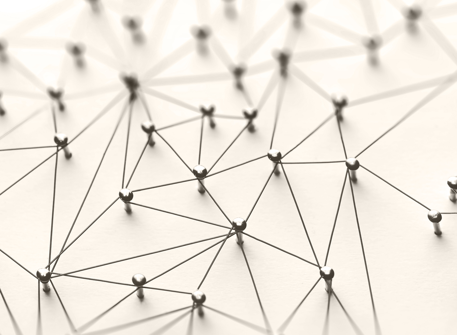 Nuestro equipo - Andersen España