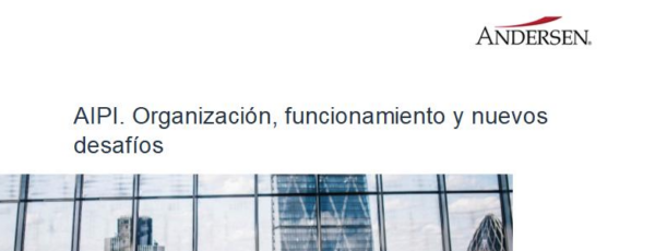 AIPI. Organización, funcionamiento y nuevos desafíos