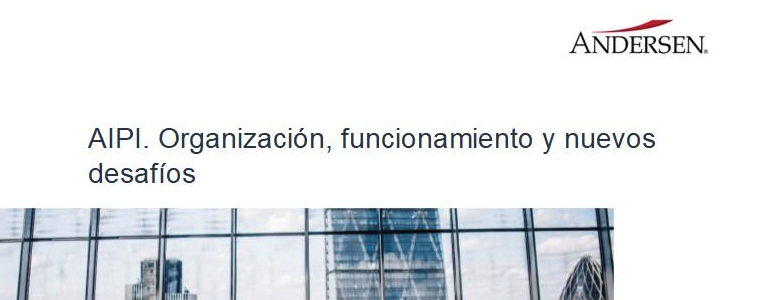 AIPI. Organización, funcionamiento y nuevos desafíos